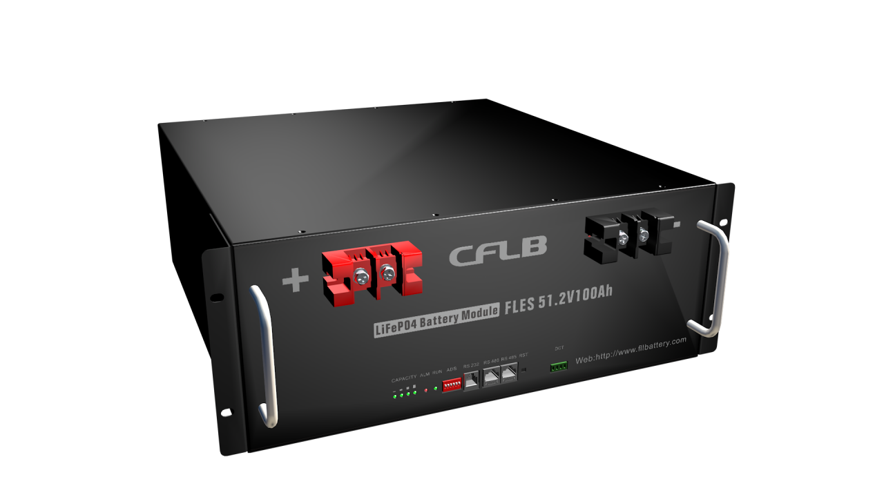 Rack-Mounted 51.2V50-200AH LiFePO4